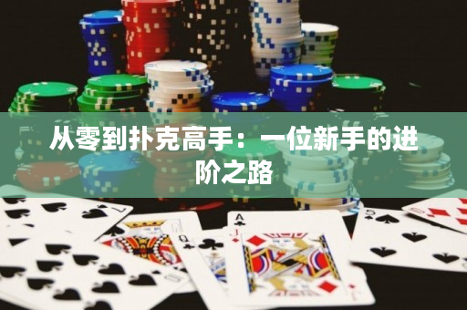 从零到扑克高手：一位新手的进阶之路