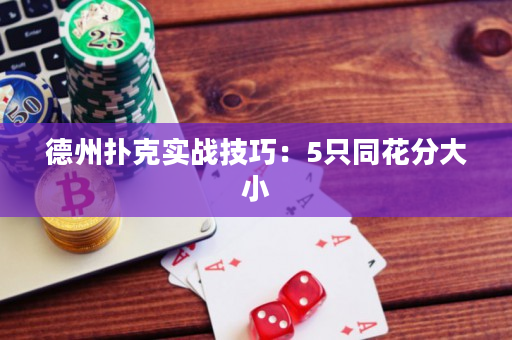 德州扑克实战技巧：5只同花分大小