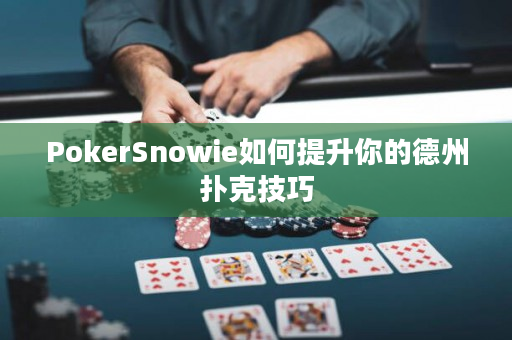 PokerSnowie如何提升你的德州扑克技巧