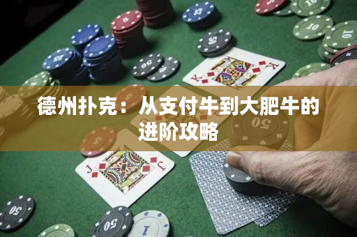 德州扑克：从支付牛到大肥牛的进阶攻略