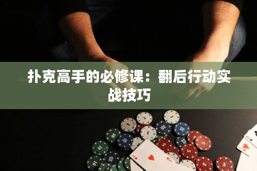 扑克高手的必修课：翻后行动实战技巧