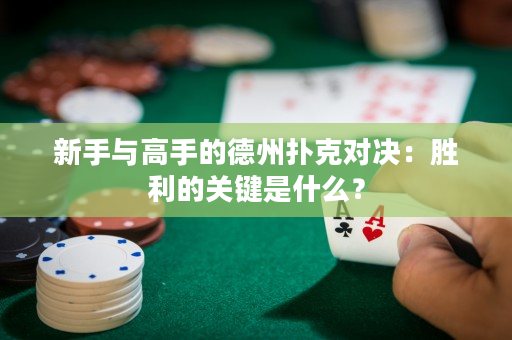 新手与高手的德州扑克对决：胜利的关键是什么？