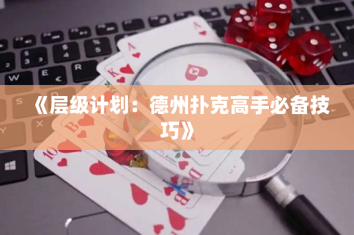 《层级计划：德州扑克高手必备技巧》