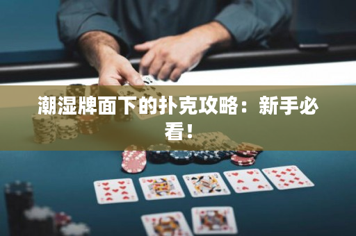 潮湿牌面下的扑克攻略：新手必看！