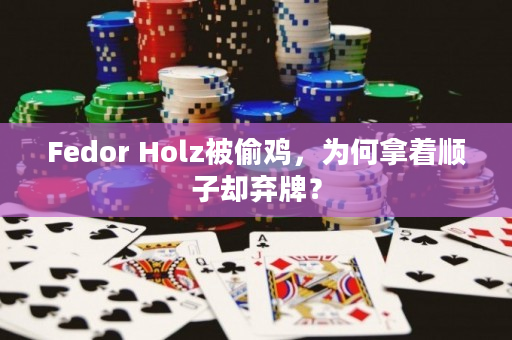 Fedor Holz被偷鸡，为何拿着顺子却弃牌？